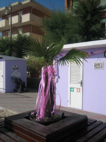 spiaggia 033